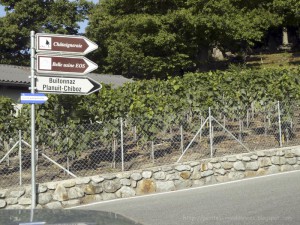 La route vers le paradis!